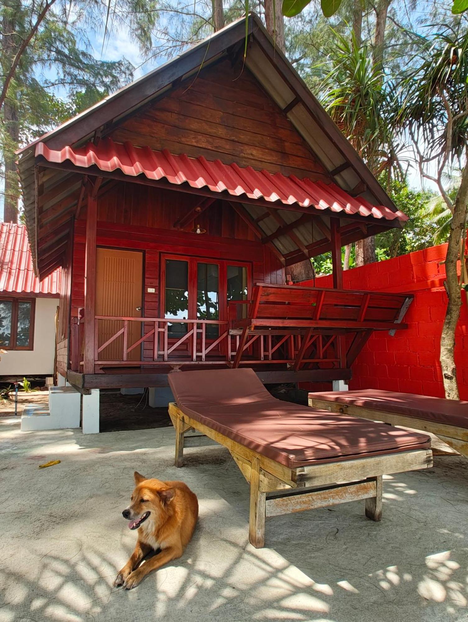 Ziggy Stardust Hotel Koh Phayam Eksteriør billede
